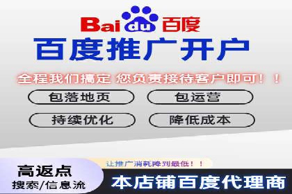 SEM公司成功案例分享：搜索引擎优化的力量